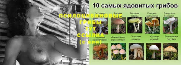 соль курить ск Липки
