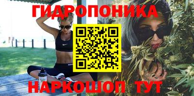 mix Гатчина