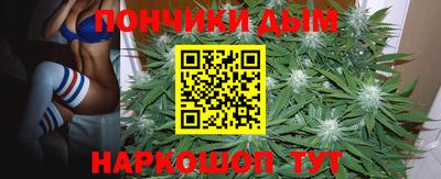 PSILOCYBIN Гай