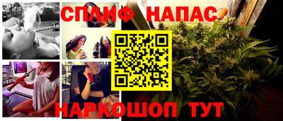PSILOCYBIN Гай