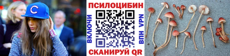 OMG зеркало  Комсомольск-на-Амуре  Псилоцибиновые грибы прущие грибы 