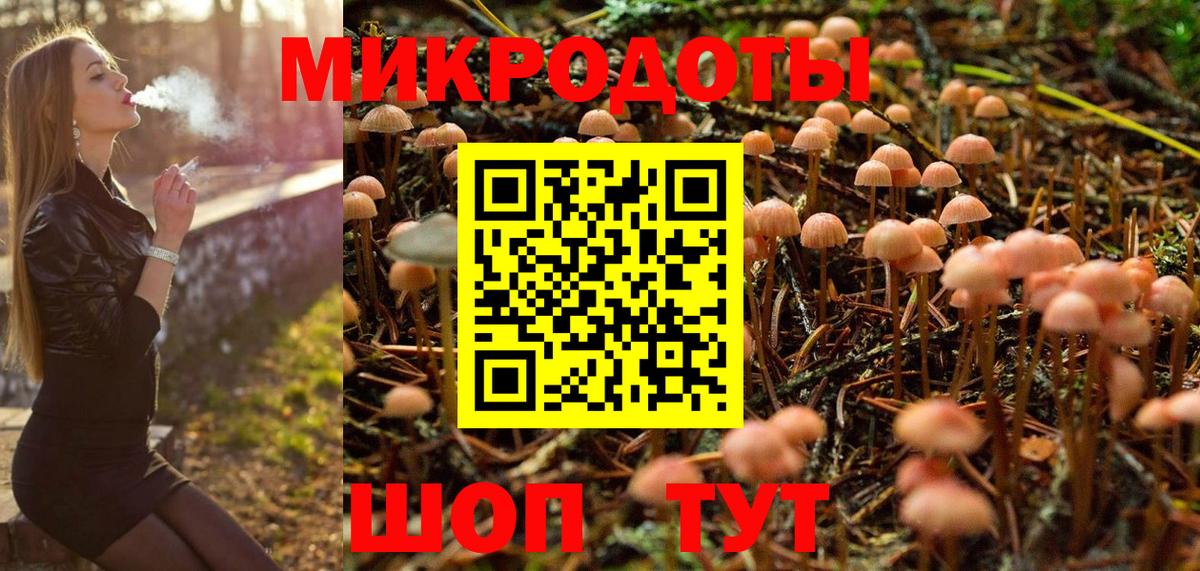 Галлюциногенные грибы Psilocybe Комсомольск-на-Амуре