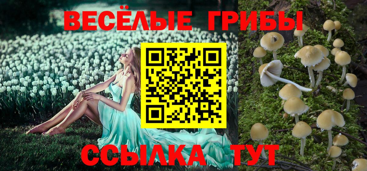 Псилоцибиновые грибы GOLDEN TEACHER  Псилоцибиновые грибы MAGIC MUSHROOMS  Вход с VPN  Комсомольск-на-Амуре 